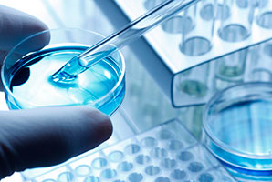 Promoción y soporte a la investigación y docencia